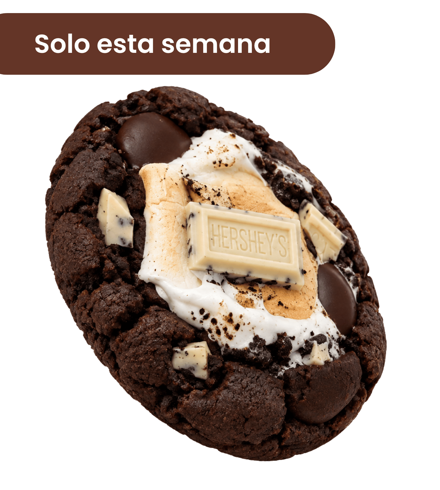 Ricardito Style Cookie